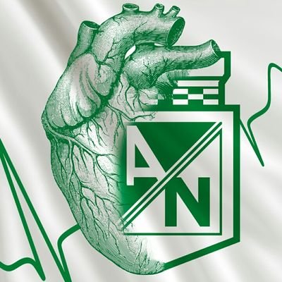 Profile Picture of Steven Parra (@stevenparra2308) on Twitter