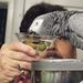 Profile Picture of Dominick Freda (@dominickfreda) on Pinterest