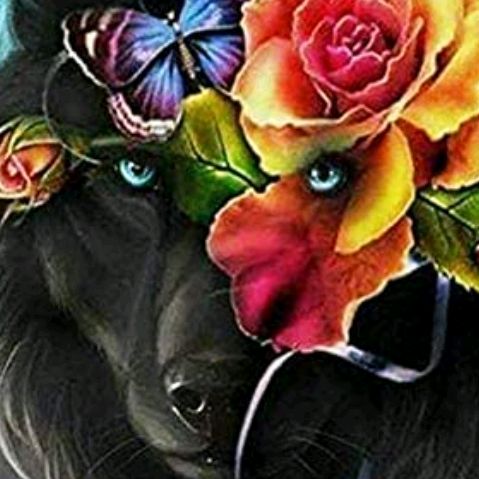Profile Picture of Debra Close (@debraclose) on Tiktok