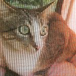 Profile Picture of Benjamin Robert Bonkosky (@beezterbunny) on Instagram