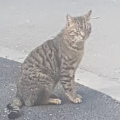 Profile Picture of Tiberiu (@Joick100) on Youtube