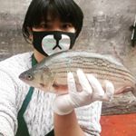 Profile Picture of Sandy Trinh (@sandykimteee) on Instagram