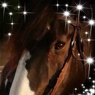 Profile Picture of Daniela Rosemann (@daniela.rosemann.7) on Facebook