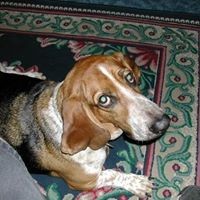 Profile Picture of Brandon Newton (@brandon-newton-16) on Quora