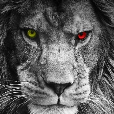 Profile Picture of Lawrence Heller (@djuniqueeyes) on Twitter