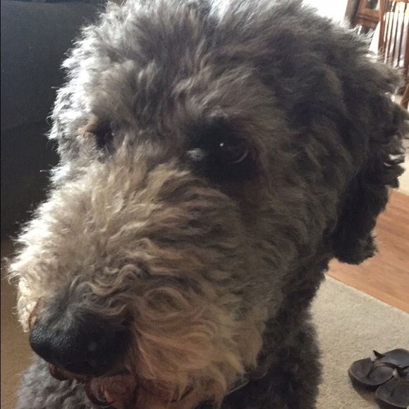 Profile Picture of Kellen Redcay (@swimgirl97) on Poshmark