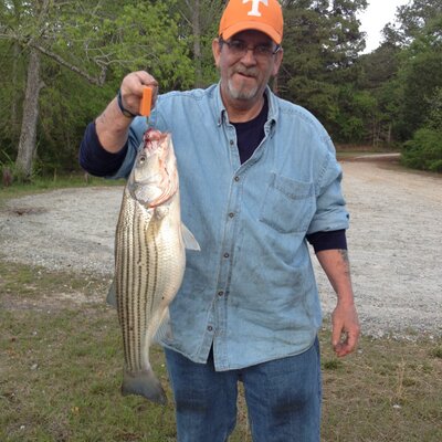 Profile Picture of Doug Higgins (@DouglasHiggins) on Twitter
