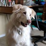 Profile Picture of Jeremy K (@beertrader456) on Instagram