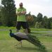 Profile Picture of Mark Matthias (@mark.matthias.7) on Facebook