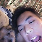 Profile Picture of Tyler Fong (@mr_tytie) on Instagram