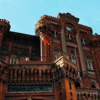 Profile Picture of wilmaduncan5 (@wilmaduncan5) on Tiktok