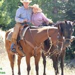 Profile Picture of Larry Stirling (@larry.stirling.12) on Instagram