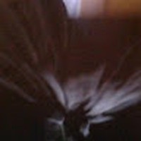 Profile Picture of Hazel Gonzalez (@hazel-gonzalez-32) on Quora