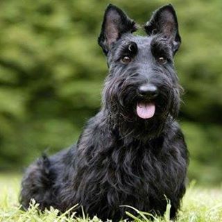 Profile Picture of Daniel Haby (@Daniel-Haby) on Facebook