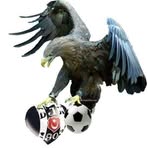 Profile Picture of Cemil Kan (@cemil.kan.2025) on Facebook