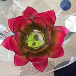 Profile Picture of Pamela Howell (@pamela.howell.581) on Instagram