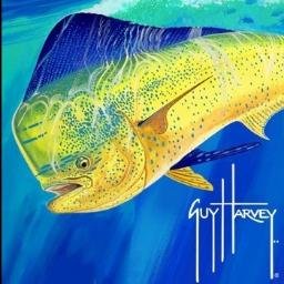 Profile Picture of Alexshackelford (@alexshack02) on Twitter