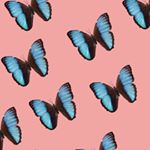 Profile Picture of kylemaliksi (@eyemaliksi) on Instagram