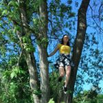 Profile Picture of falcon jade (@falconjade) on Instagram