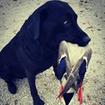 Profile Picture of jeff clanton (@jeffclan) on Instagram