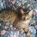 Profile Picture of Herberta Kiekeben (@herberta.kiekeben) on Facebook