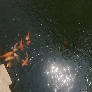 Profile Picture of Kim Um (@kim.um.758) on Facebook