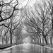 Profile Picture of Ivan Daniel Weiss Krüger (@ivandanielweiss) on Pinterest