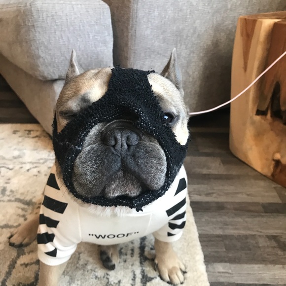 Julian Cipala - Poshmark Profile Picture of Julian Cipala (@icedoutfreak) on Poshmark