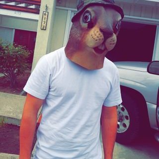 Profile Picture of Bob Shier (@bob_shier) on Twitter