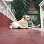 Profile Picture of Avantika Dass Francis (@avi2aaron) on Instagram