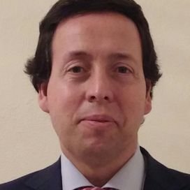 Profile Picture of David Nicolás Sanchez-Robles Cervilla (@DavidSa74948723) on Twitter