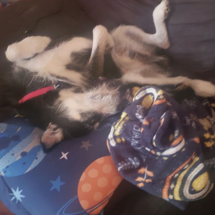 Profile Picture of Delbert Cox (@delbert.cox) on Tiktok