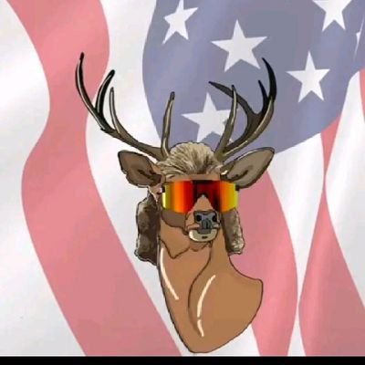 Profile Picture of Collin Frazier Jr (@WoahGamer1) on Twitter