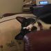 Profile Picture of Frank Miser (@frank.moser.5895) on Facebook