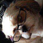 Profile Picture of brian_everest (@brian_everest) on Instagram