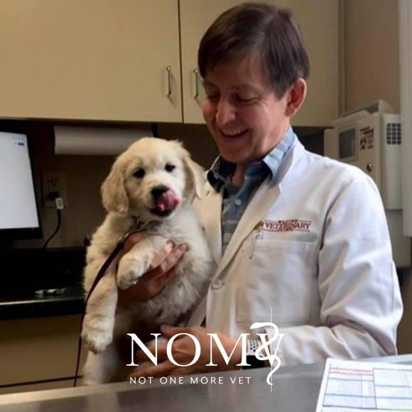 Neil Storey - Poshmark Profile Picture of Neil Storey (@saffydoos) on Poshmark