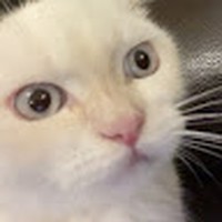 Profile Picture of Adam Ghali (@adam-ghali-4) on Quora