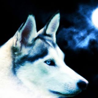 Profile Picture of Felice Roberts (@felice.roberts.94) on Facebook