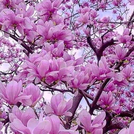 Profile Picture of Keri_lin (@keri_lin) on Tiktok