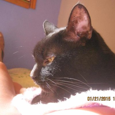 Profile Picture of LUCIO OLMEDO TOVAR L (@olmetovar) on Twitter