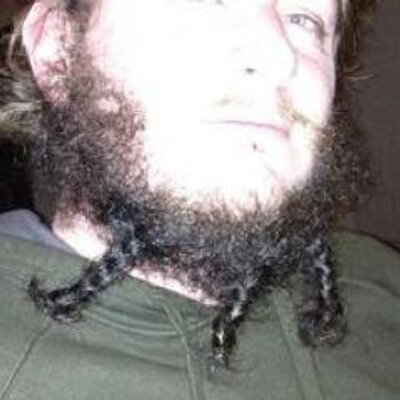 Profile Picture of Mark Wotton's Beard (@mwottonsbeard) on Twitter