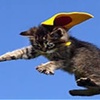 Profile Picture of Adam Munn (@gumbythefatcat) on Tiktok