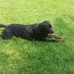 Profile Picture of Manuel colaco (@colaco20) on Instagram