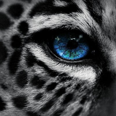 Profile Picture of Joshua Moulder (@moulder_joshua) on Twitter