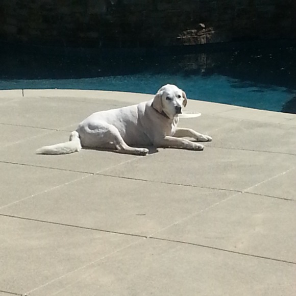 Profile Picture of Olivia Marsh (@buddytheelf11) on Poshmark