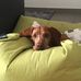 Profile Picture of Thomas Zipfel (@Thomas-Zipfel) on Facebook