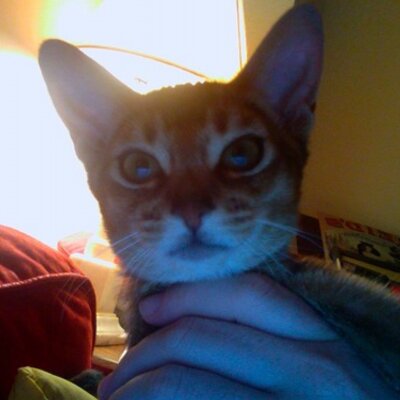 Profile Picture of Jonathan Lisecki (@@jonnynyc) on Twitter