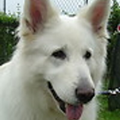 Profile Picture of Marianne Eshuys (@MarianneEshuys) on Twitter