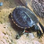 Profile Picture of Gregory Gonzalez (@gregory._.gonzalez) on Instagram