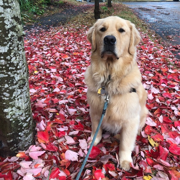 Profile Picture of Brian Friedman (@briansfriedman) on Poshmark